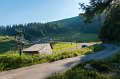 0451Lac vert